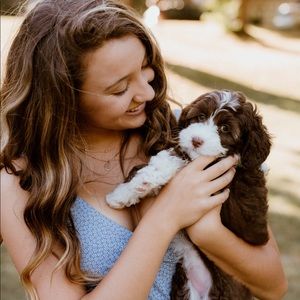 Meet your Posher, Rylee